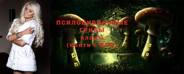 метадон Новозыбков