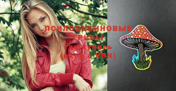 метадон Новозыбков