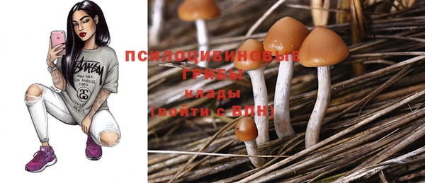 МДПВ Нягань
