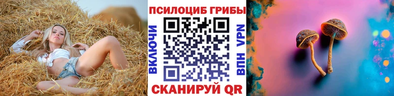 Галлюциногенные грибы Cubensis  Рязань 