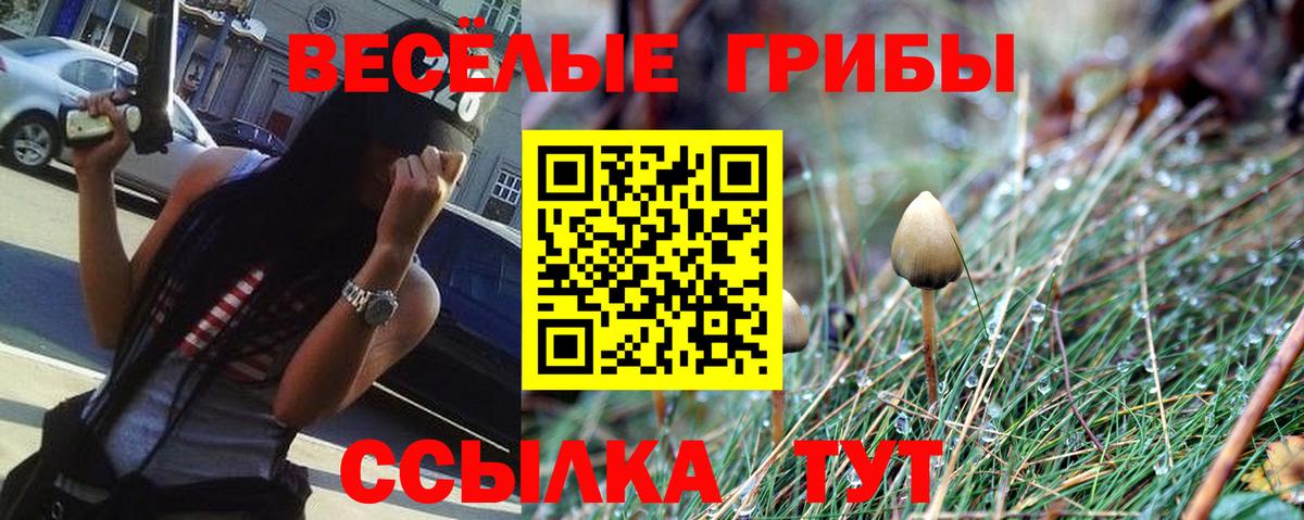 Псилоцибиновые грибы Cubensis Рязань